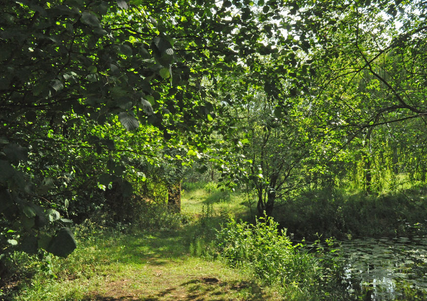 Photograph of the paddock at Roseland House
Click on the image for the next photo