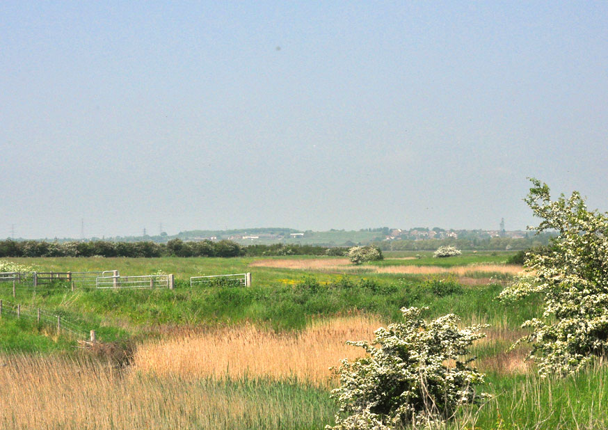 Photograph of Canvey Island
Click for the next photo
