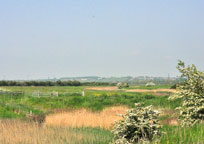 Small photograph of Canvey Island
Click on the image to enlarge