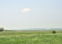 Small photograph of Canvey Island
Click on the image to enlarge