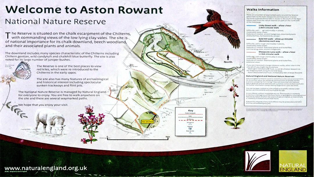 Aston Rowant
Click for next photo