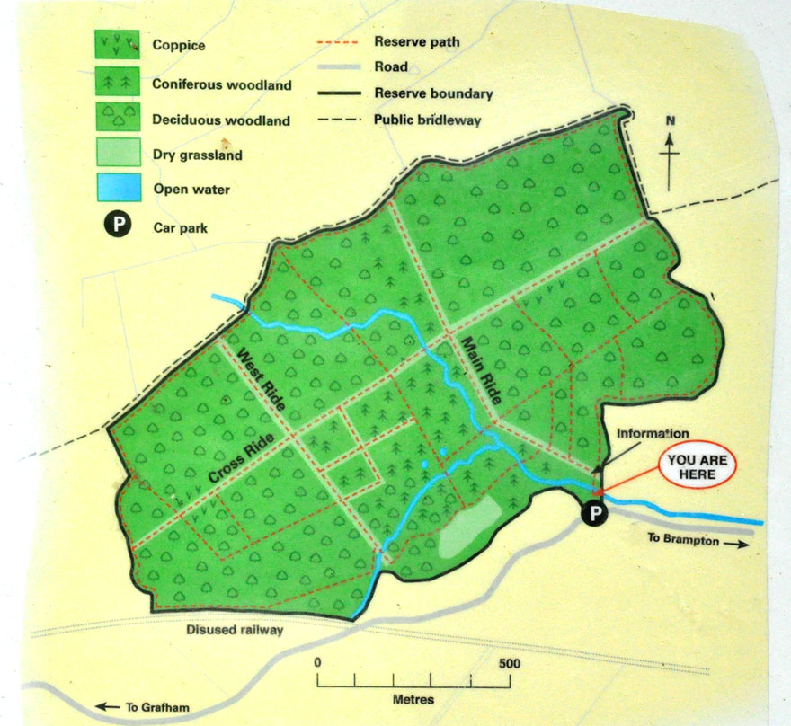 Brampton Wood visitors map
Click for the gallery