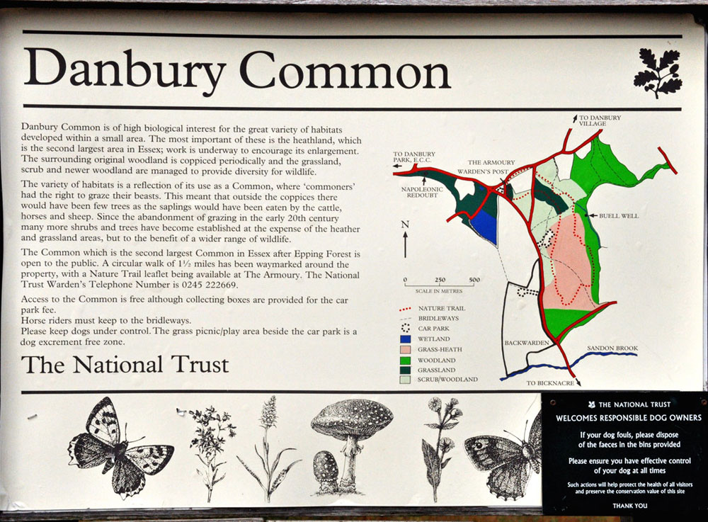 Photograph of the Danbury Common information board
Click on the image for the next photo