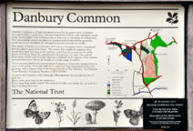 Danbury Common
Click on image to enlarge