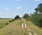 Small photograph of the Devil's Dyke
Click on the image to enlarge
