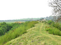 Fleam Dyke
Click on image to enlarge