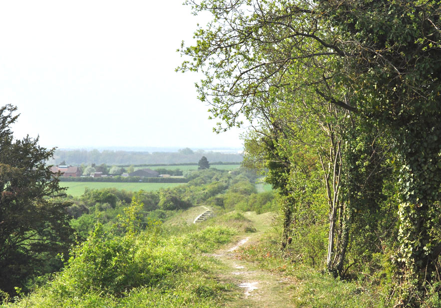 Photograph of Fleam Dyke
Click on the image for the gallery