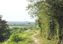 Small photograph of the Fleam Dyke
Click to enlarge