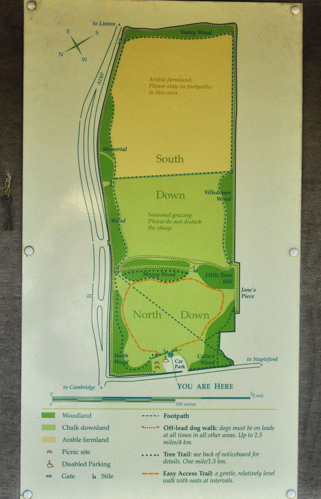 Photograph of Magog Down information board
Click for the next photo