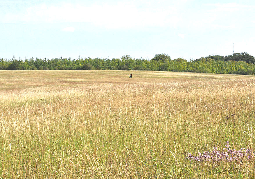 Photograph of Magog Down 
Click for the next photo