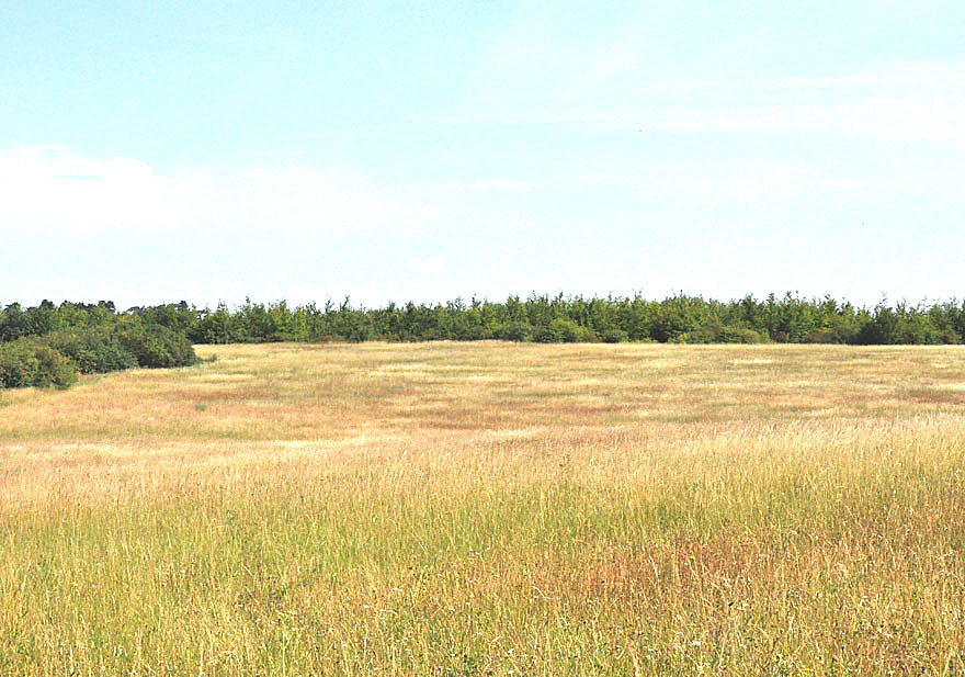 Photograph of Magog Down 
Click for the gallery