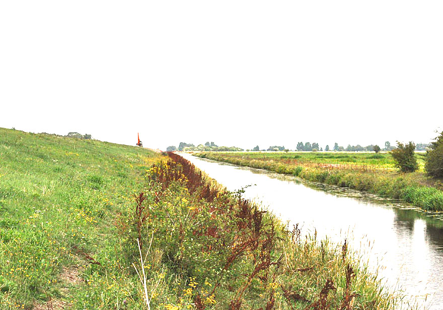 Photograph of the Ouse Washes
Click on the image for the gallery
