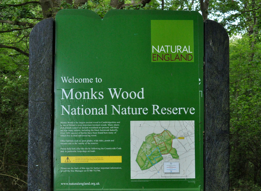 Photograph of the Monk's Wood information board
Click on the image for the next photo