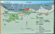 Small photograph of the Stour Wood information board
Click on the image to enlarge