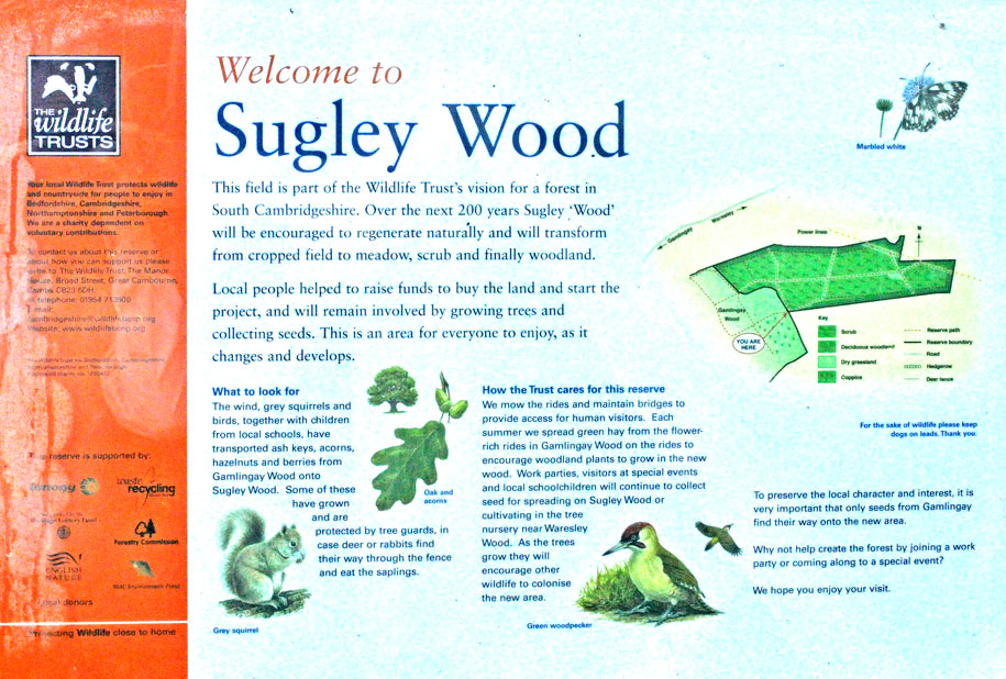 Photograph of Sugley Wood information board
Click on the image for the next photo