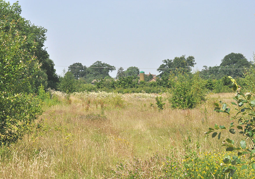 Photograph of Sugley Wood
Click on the image for the gallery