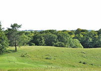 Small photograph of Therfield Heath
Click on the image to enlarge