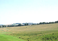 Small photograph of Therfield Heath
Click on the image to enlarge