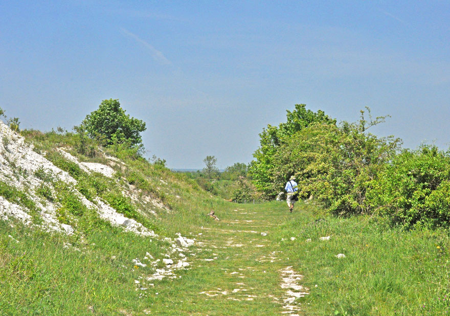 Photograph of Totternhoe Quarry
Click on the image for the gallery