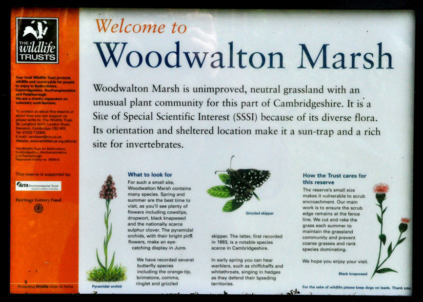 Photograph of the Woodwalton Marsh information board
Click on the image for the next photo