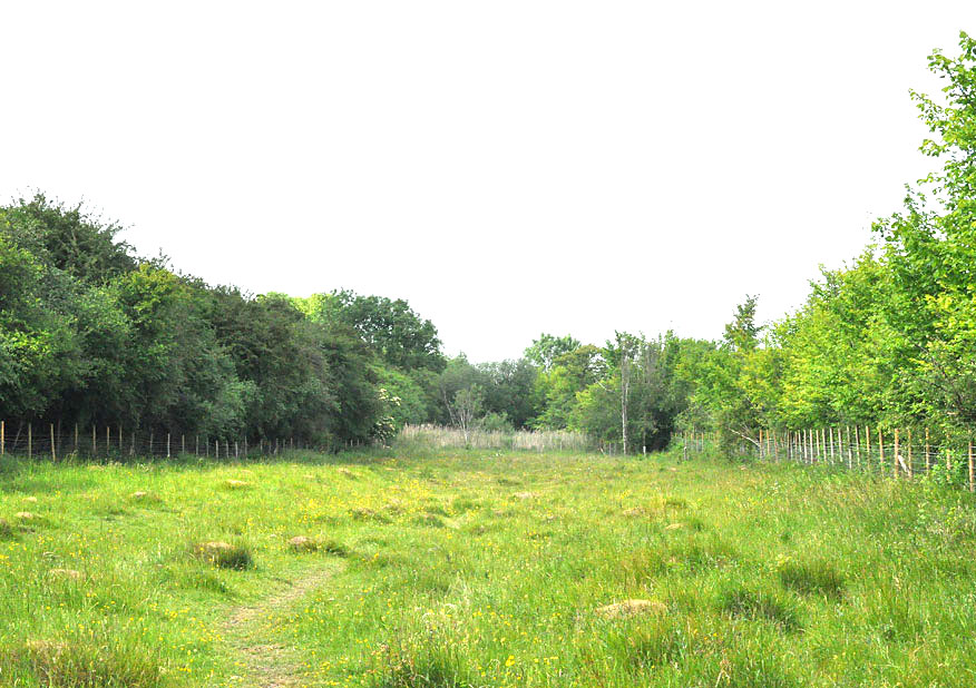 Photograph of the Woodwalton Marsh information board
Click on the image for the next photo