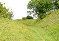 Bison Hill
Click on image to enlarge