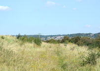 Small photograph of Canvey Island
Click on the image to enlarge