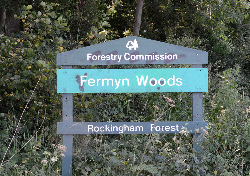 Fermyn Woods 
Click for gallery