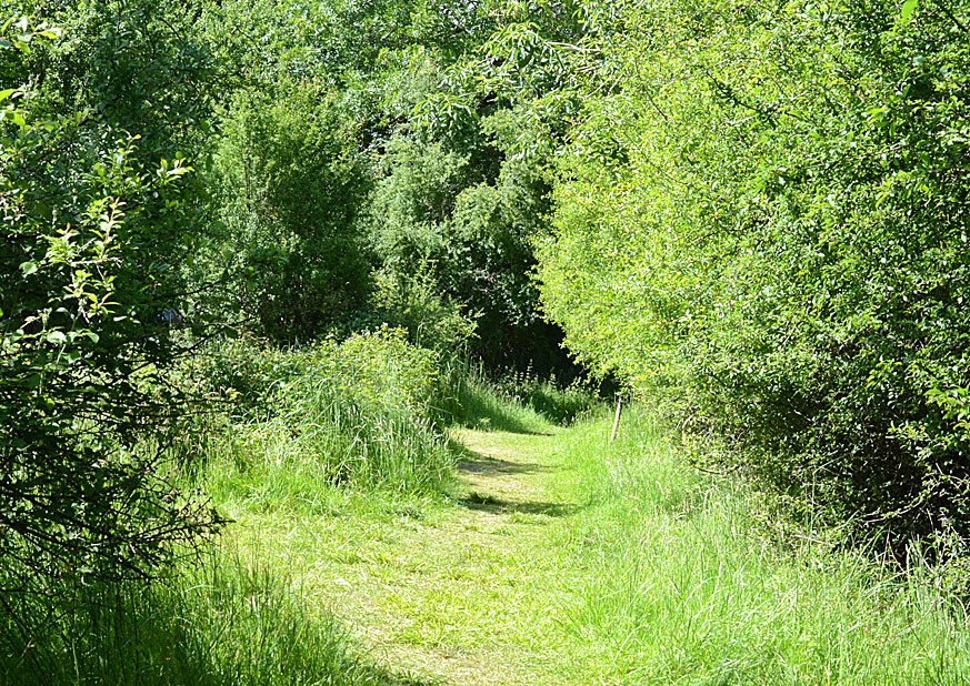 Glapthorn ride
Click for next photo