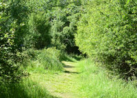 Glapthorn Cowpastures
Click on image to enlarge