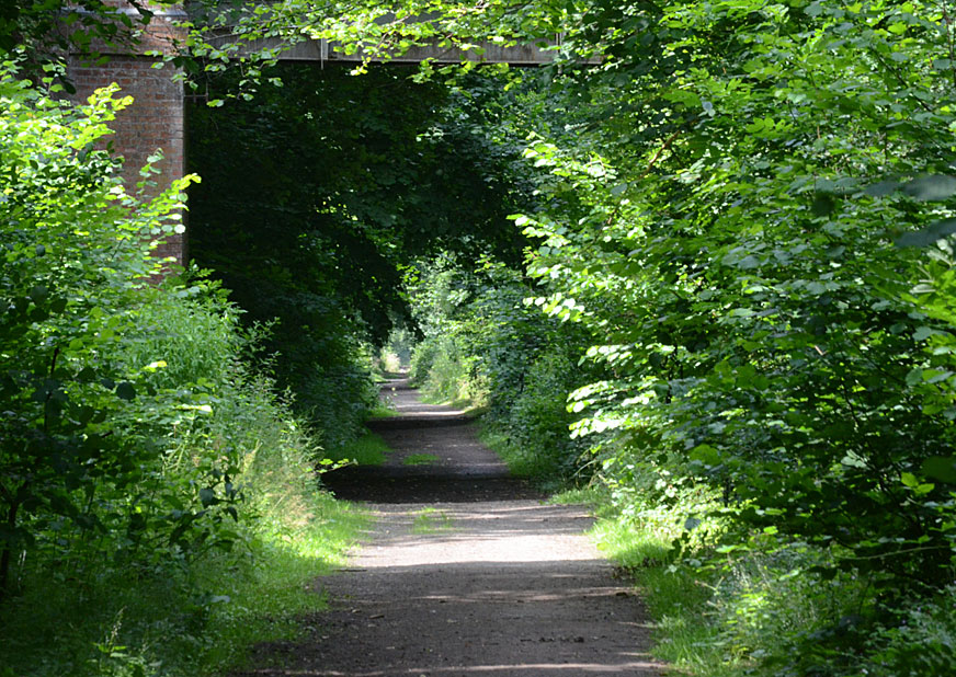 Hadleigh Railway Walk map
Click on image for next photo