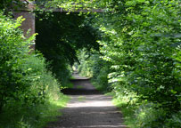 Hadleigh Railway Walk
Click on image to enlarge