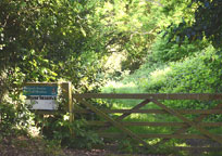 Hitchcocks Meadow
Click on image to enlarge