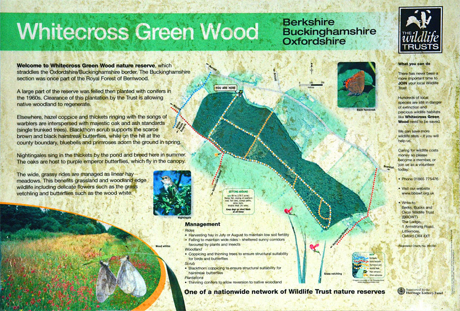 Whitecross Green Wood map
Click for next photo