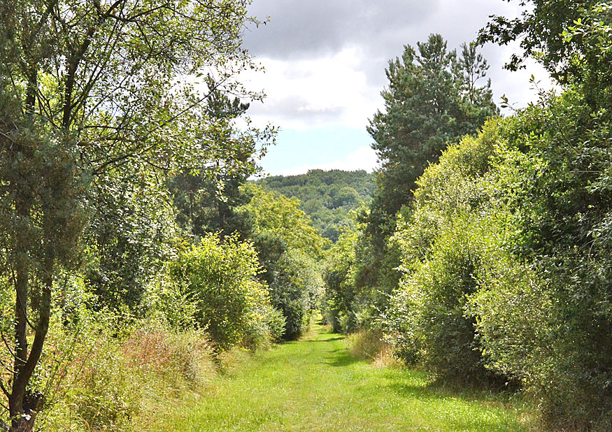 Whitecross Green Wood map
Click for next photo