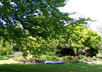 Green Island Gardens
Click the image to enlarge
