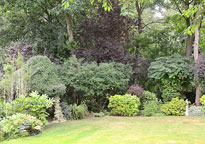 Barbers' open garden
Click the image to enlarge