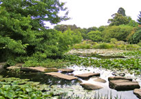 Cambridge Botanic Garden
Click the image to enlarge