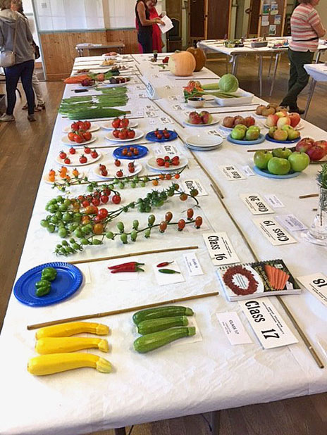 Annual Show 2017
Click the picture to move on
Photo by Jo Williams