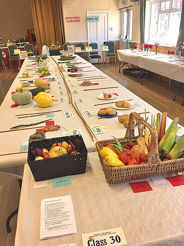 Annual Show 2019
Click the picture to move on
Photo by Jo Williams