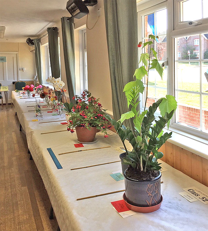 Annual Show 2019
Click the picture to move on
Photo by Jo Williams