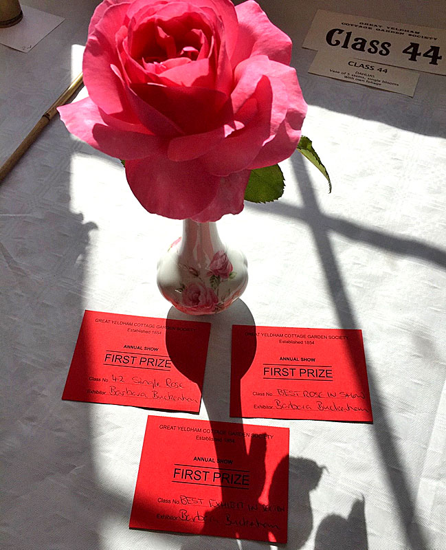 Annual Show 2019
Click the picture to move on
Photo by Jo Williams