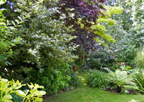 Anne and Terry Barber's open garden, 20 July 2014
Click the image to enlarge