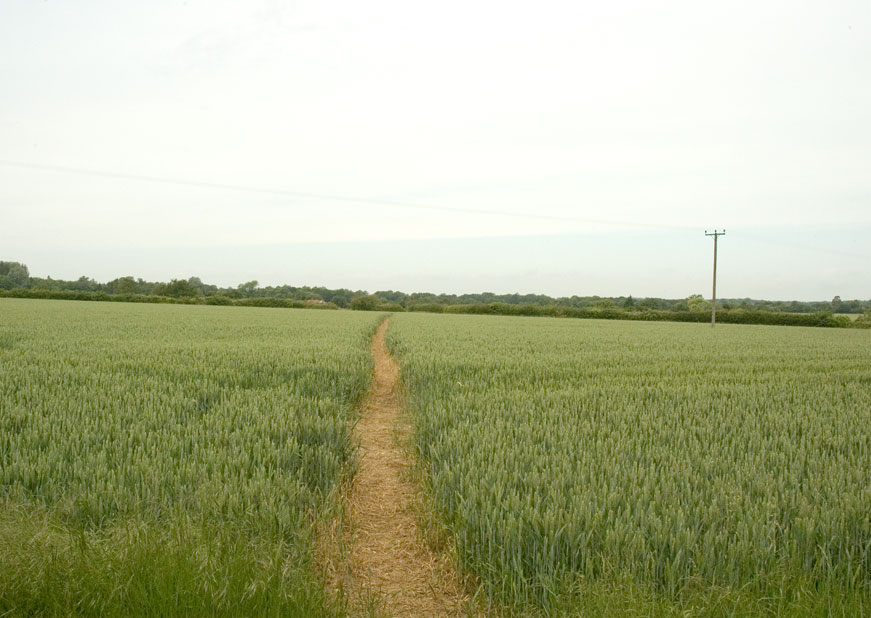 Walks image 14. Click for next photo.
