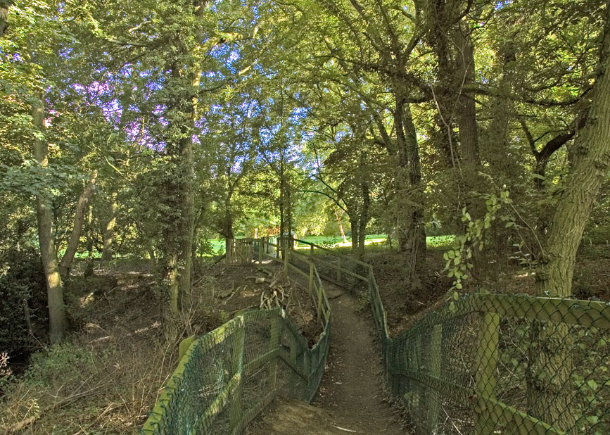Walks image 181. Click for next photo.