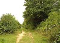 Aug 2009, Walk photo 201
Click on image to enlarge