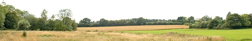 Narrow landscape view